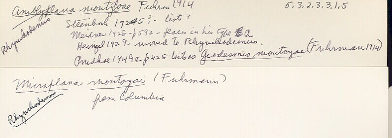 index card