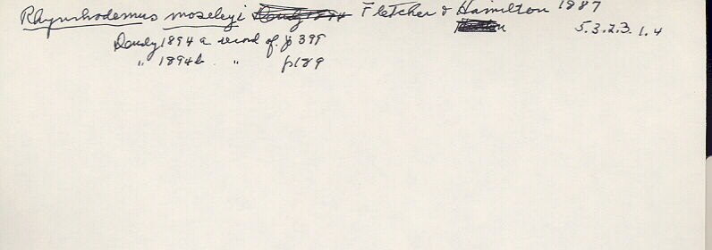index card