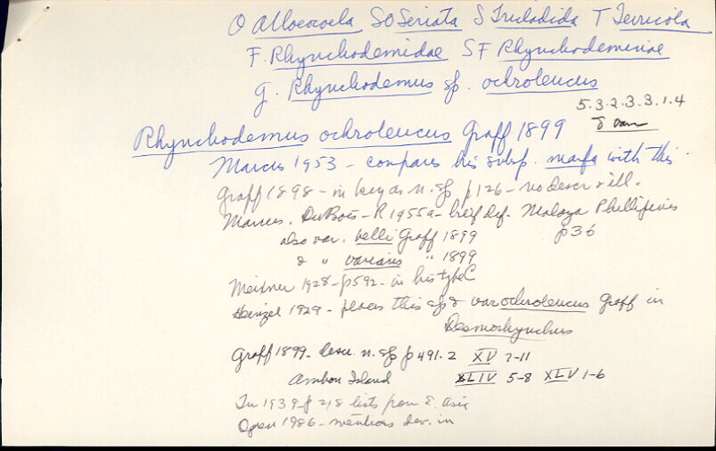 index card