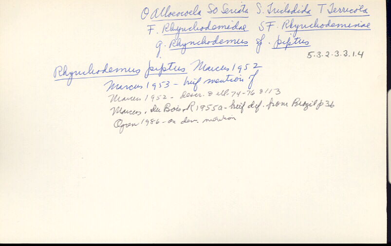 index card