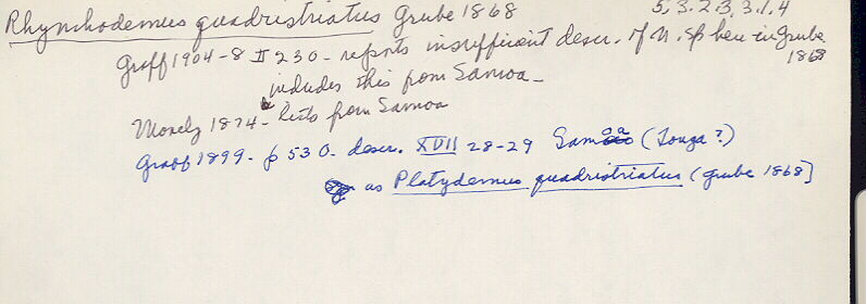 index card