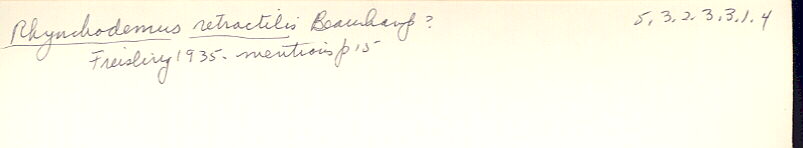 index card