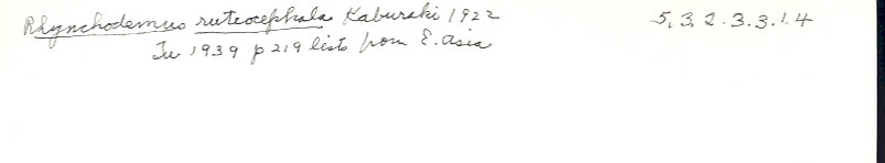 index card