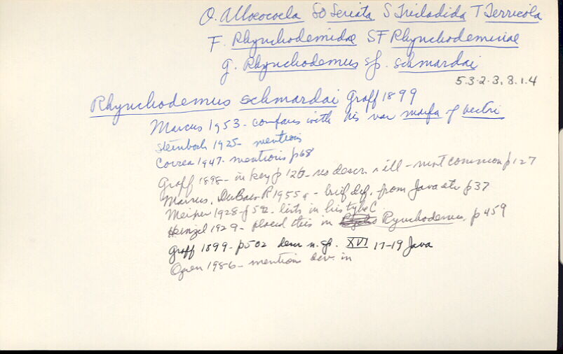 index card
