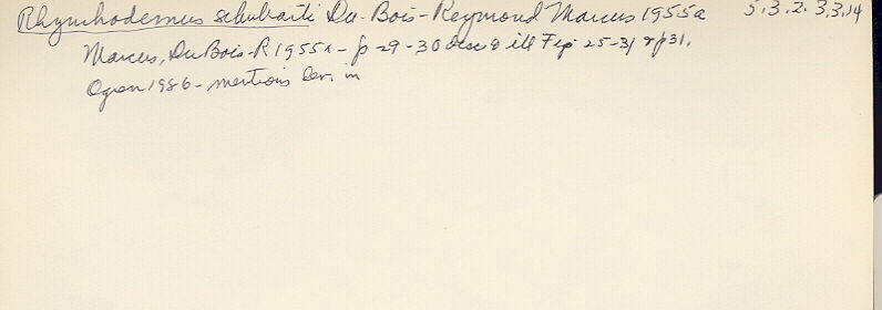 index card