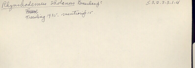 index card