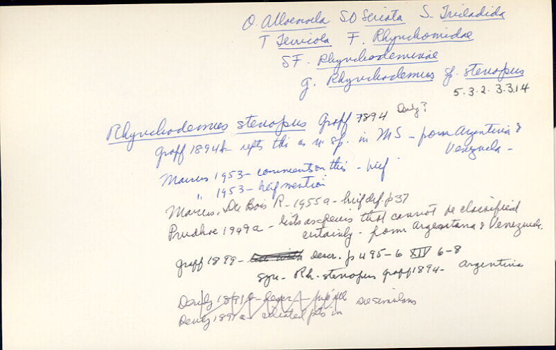 index card