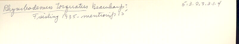 index card