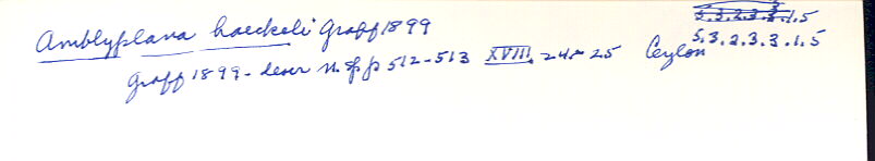 index card