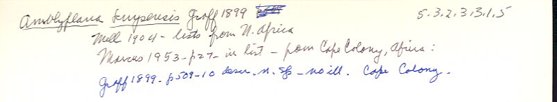 index card