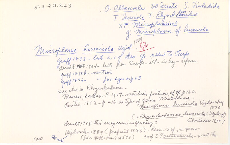 index card