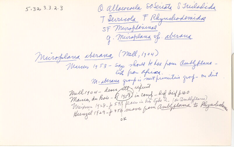 index card