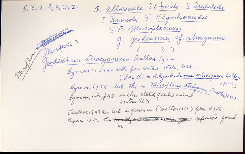 index card