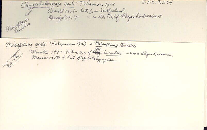 index card
