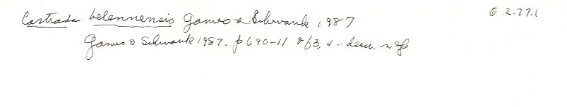 index card
