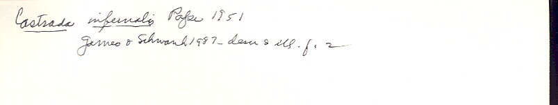 index card