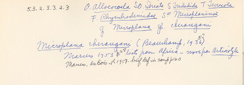 index card