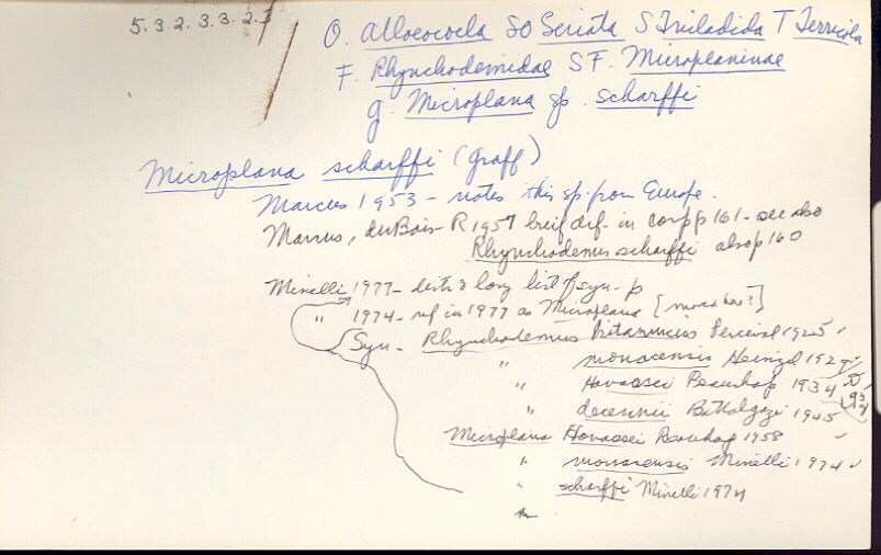 index card