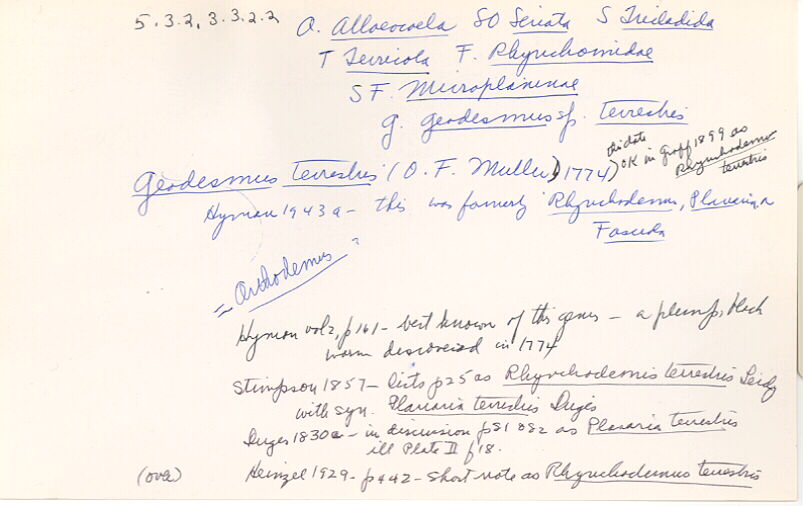 index card
