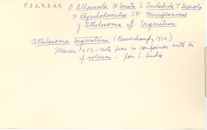 index card