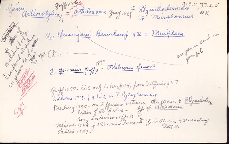 index card