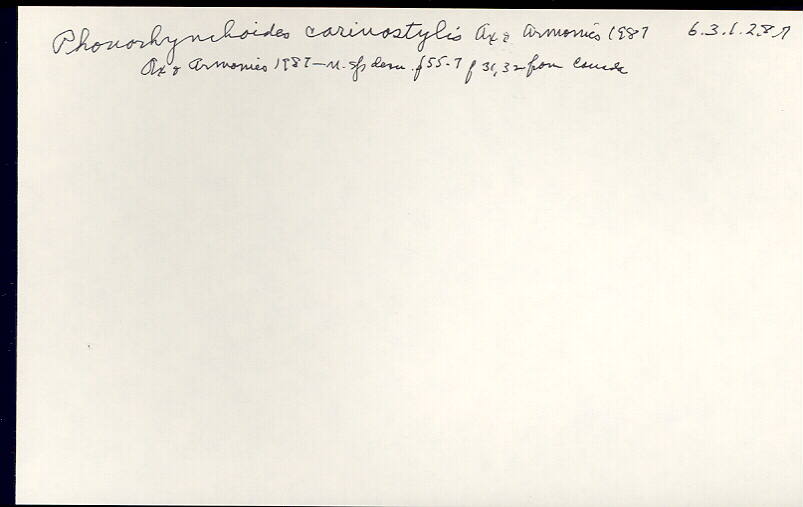 index card