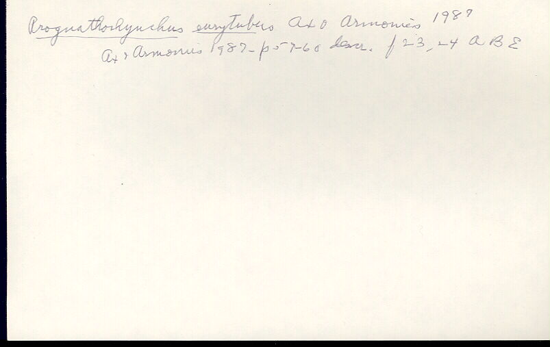 index card
