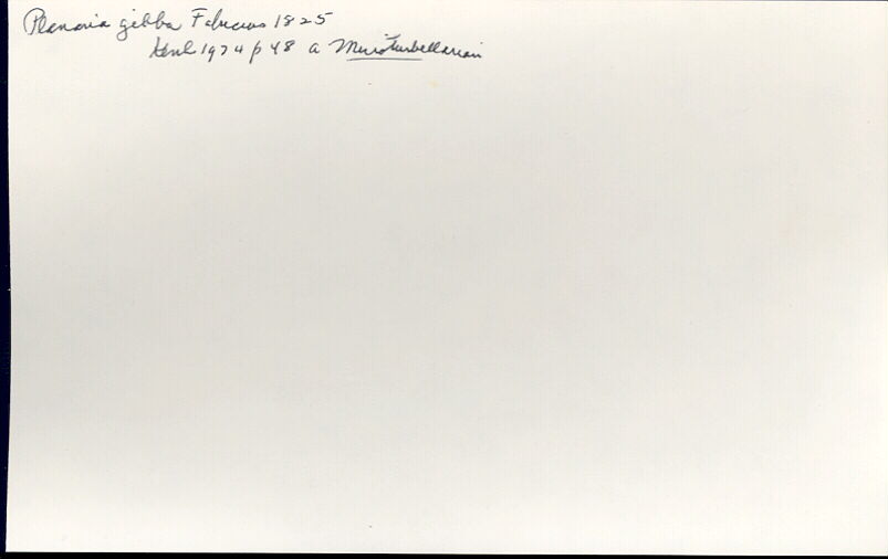 index card