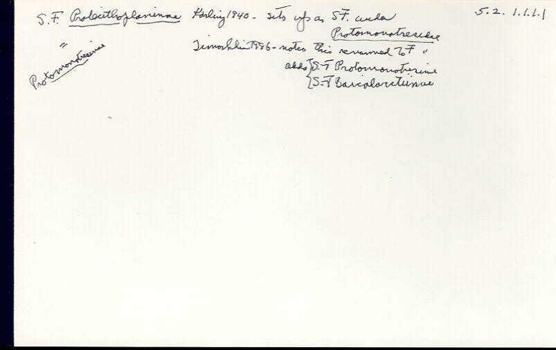 index card