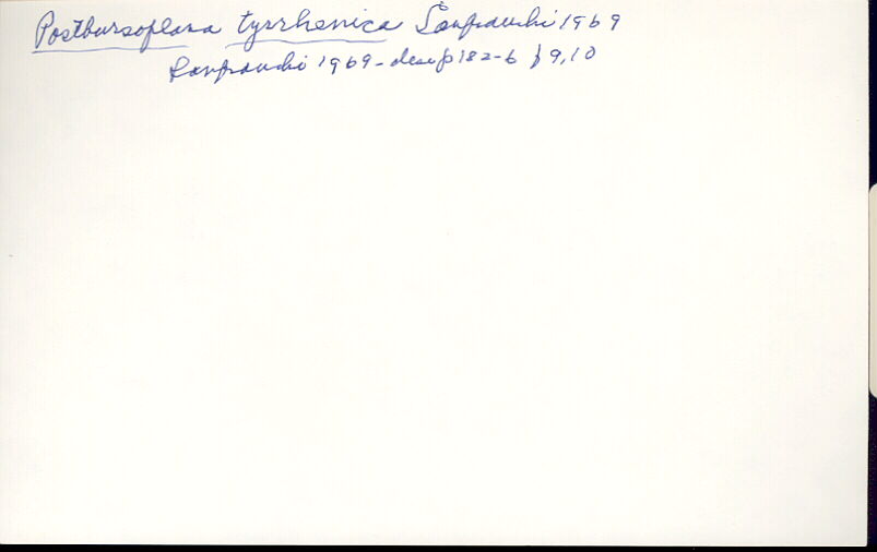 index card