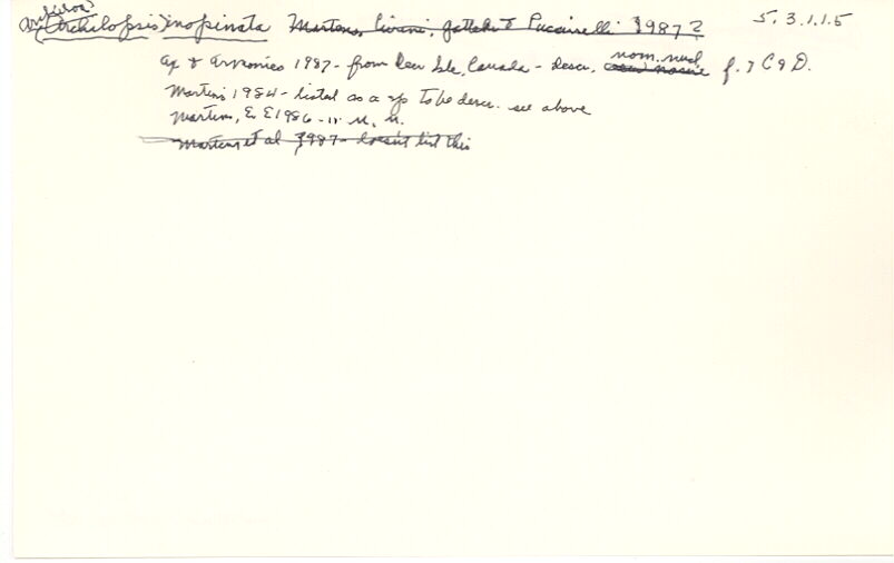 index card