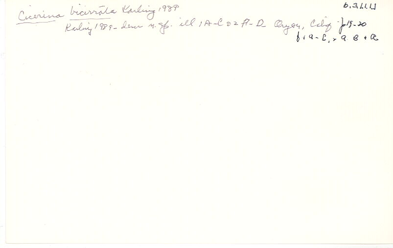 index card