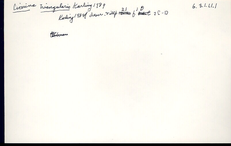 index card