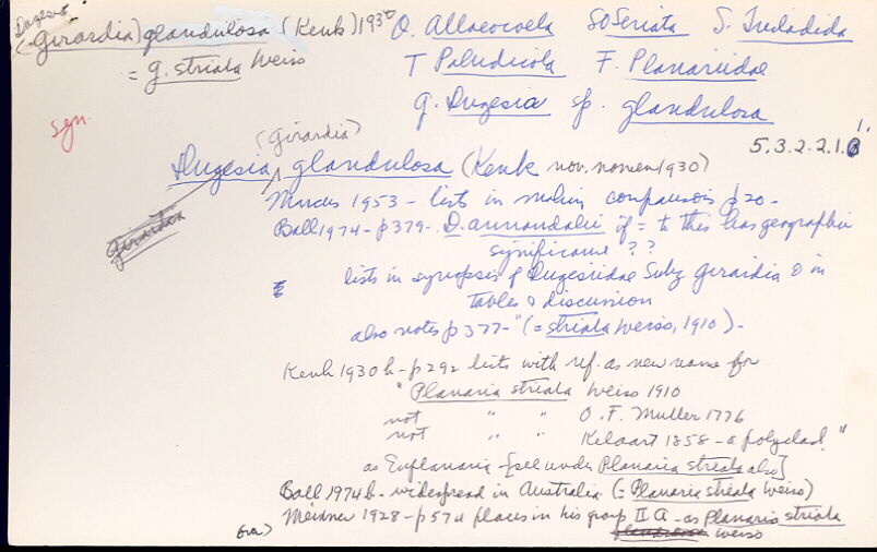 index card