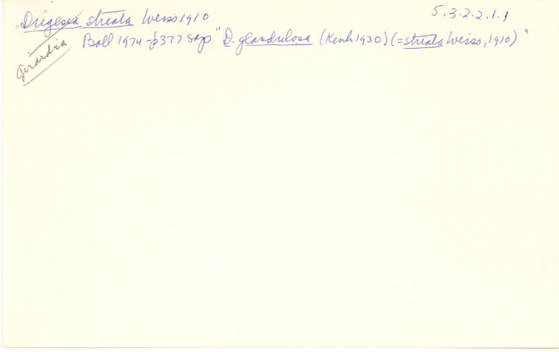 index card