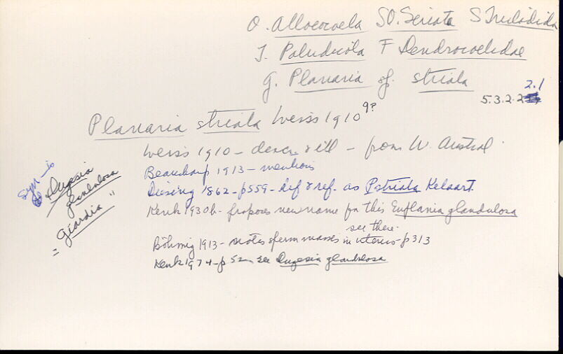 index card