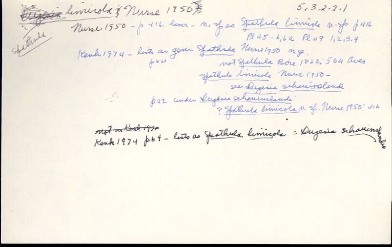 index card