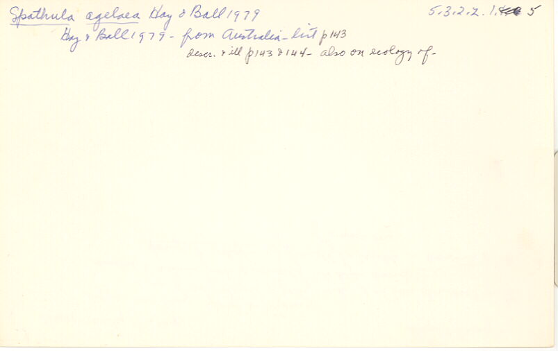 index card