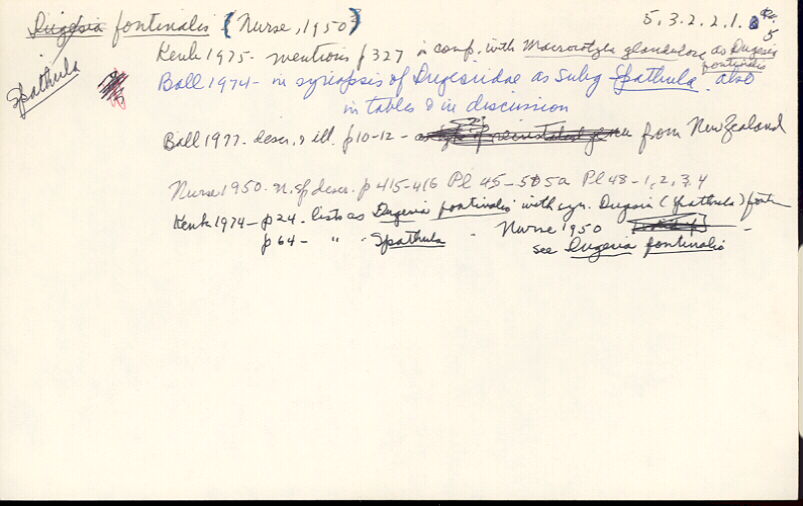 index card