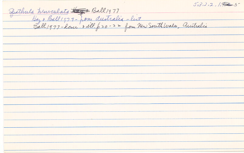 index card