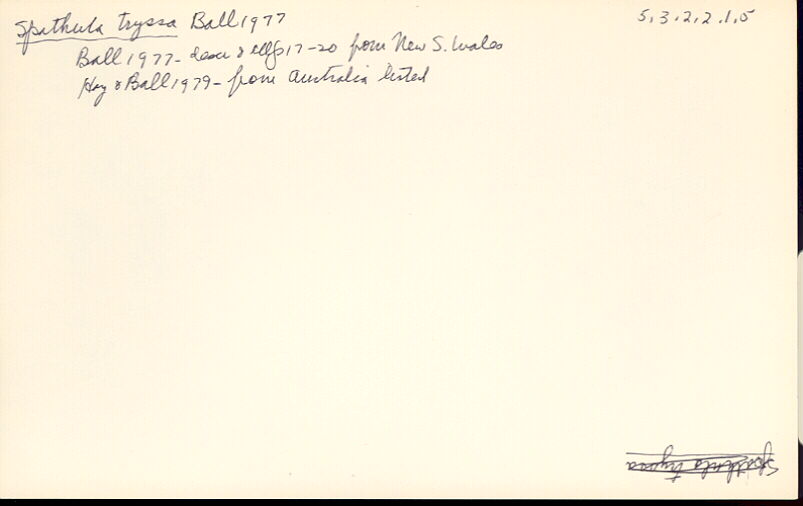 index card