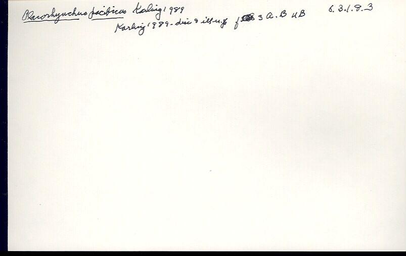index card