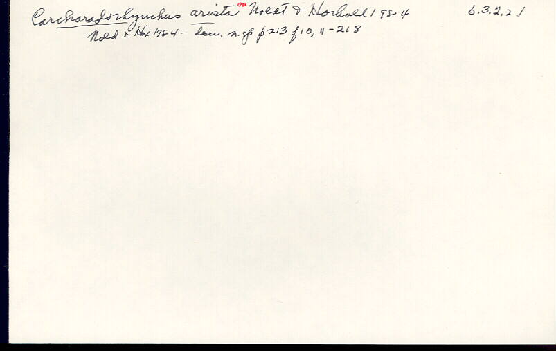 index card