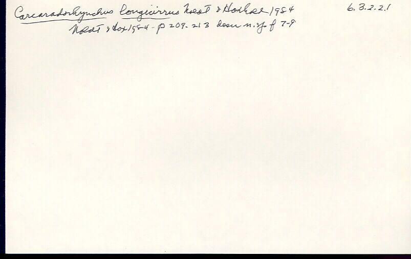index card