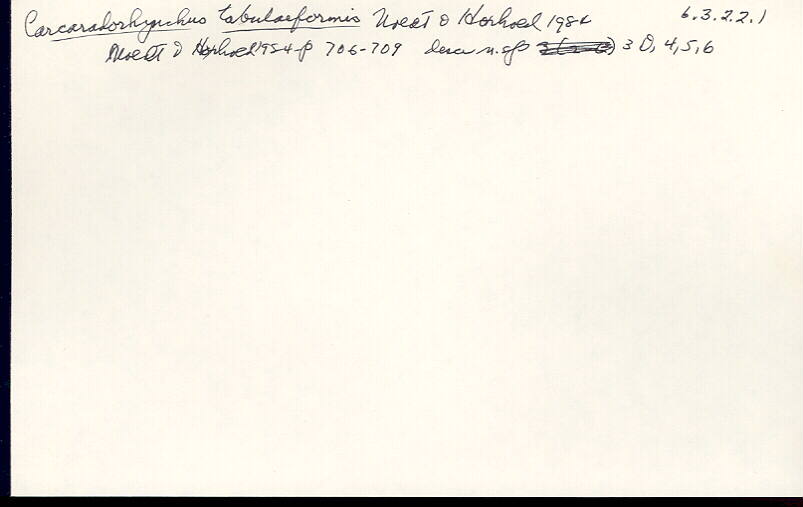 index card
