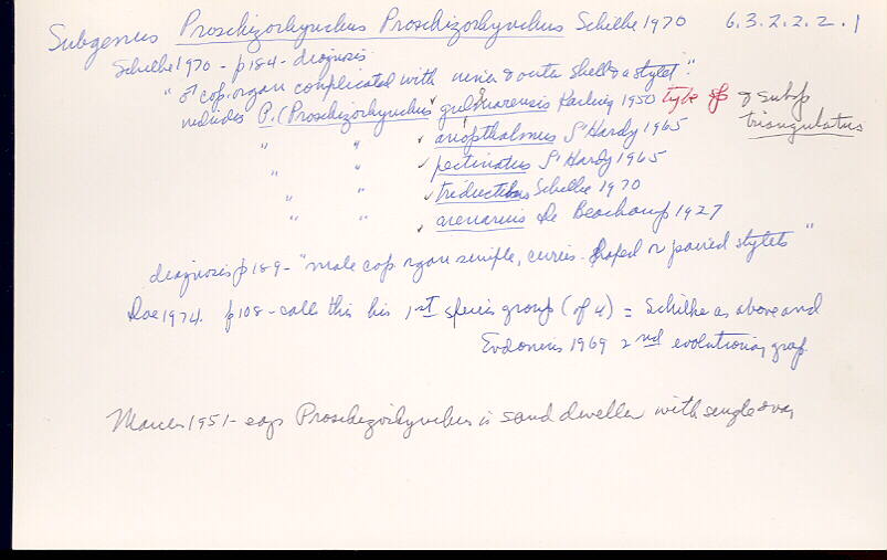 index card