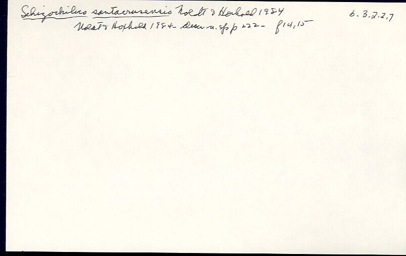 index card