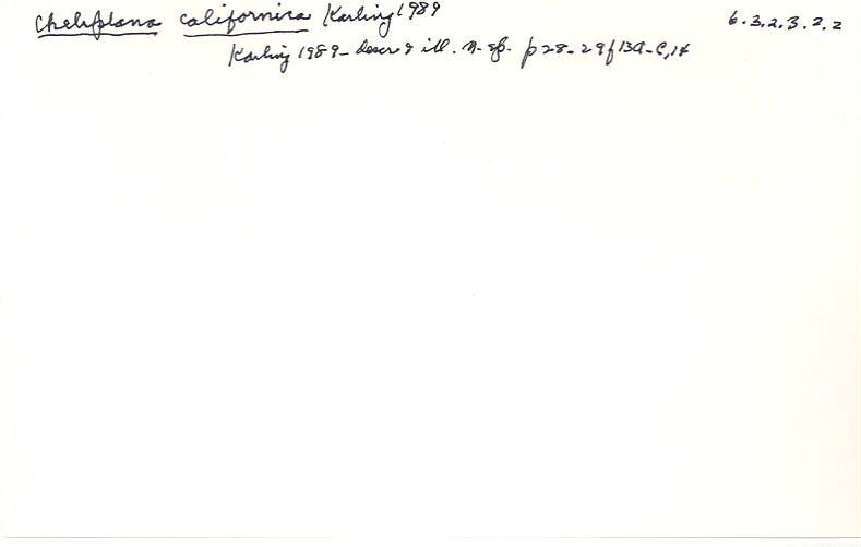 index card