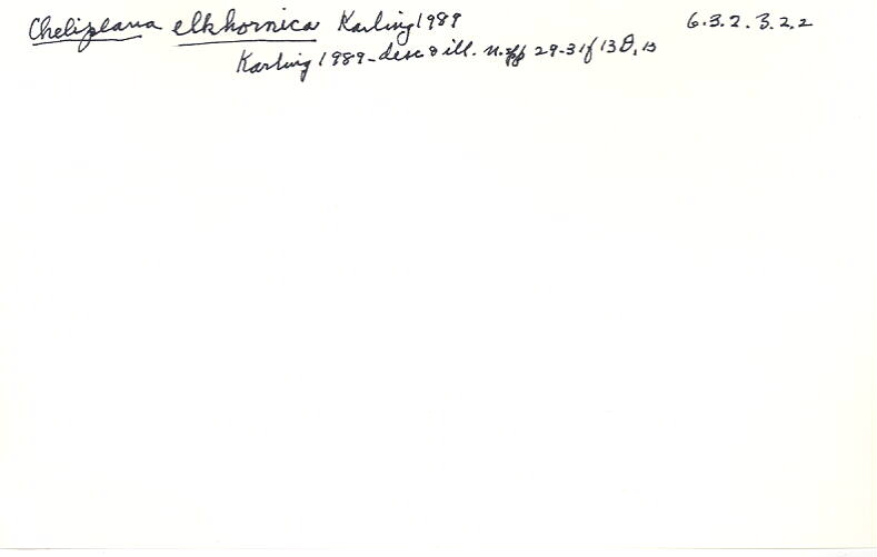 index card