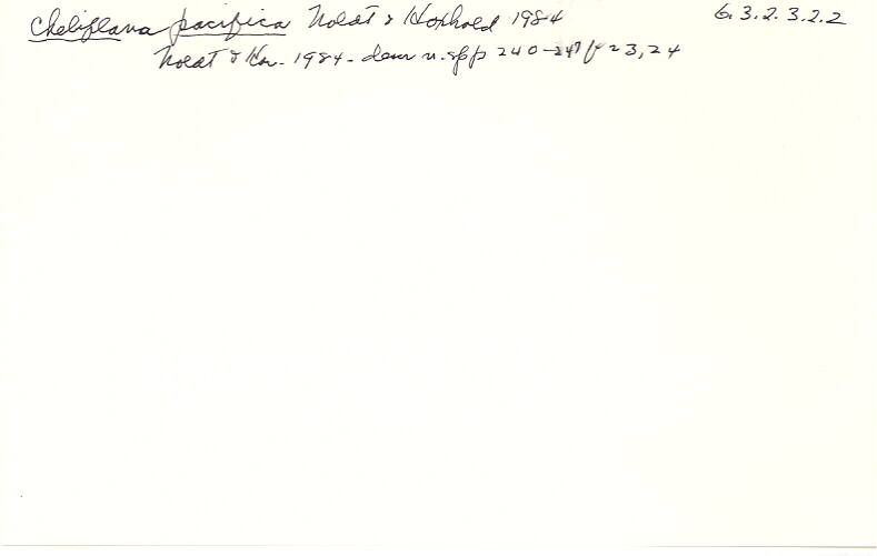 index card